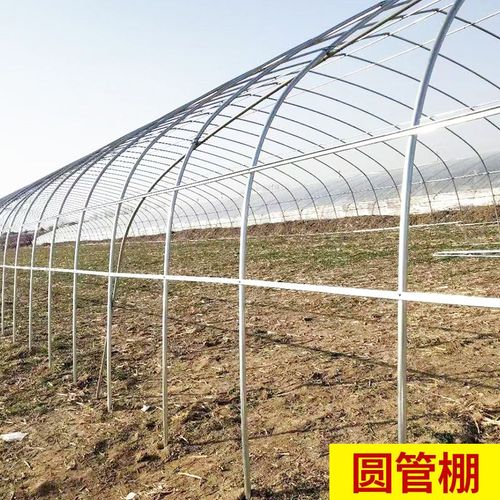 溫室鋼架大棚骨架蔬菜種植連棟棚牛羊保溫棚養殖大