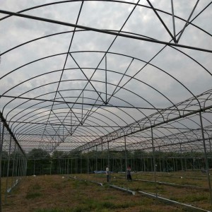 【連棟大棚骨架,溫室鍍鋅鋼架,鋼管大棚骨架,育苗種植棚子,一畝大棚骨架造價溫室、大棚