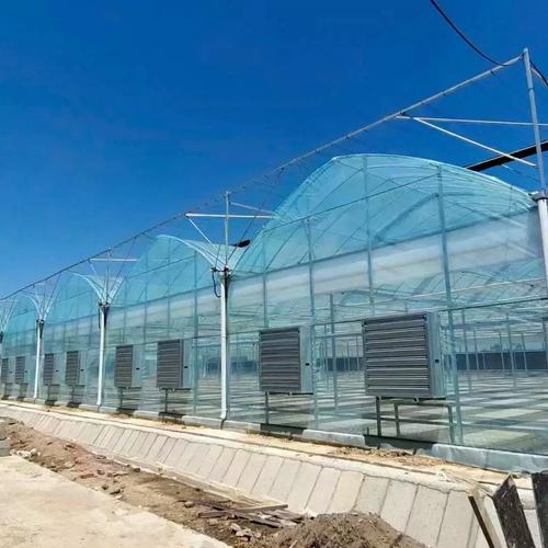 智能連棟薄膜溫室大棚鋼架日光溫室智能溫室設計建設廠家智能控制